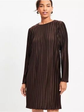 NWT: Loft Petite Small Long Sleeve Pleated Shift Dress in Brown